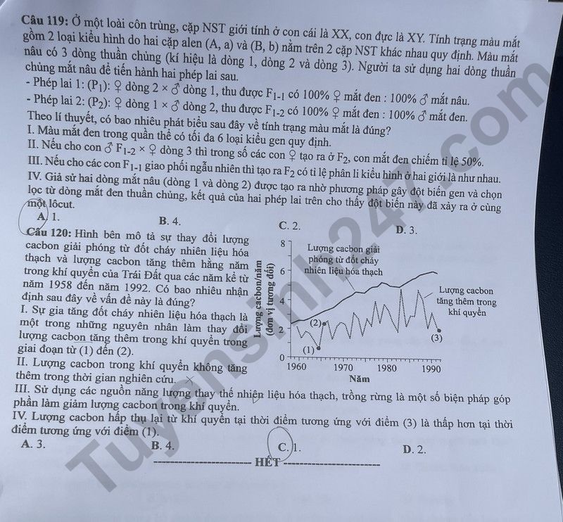 Dap an de thi tot nghiep THPT 2024 - mon Sinh ma de 219