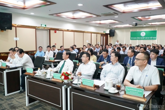 nang cao vi the nganh cao su viet nam thong qua san giao dich