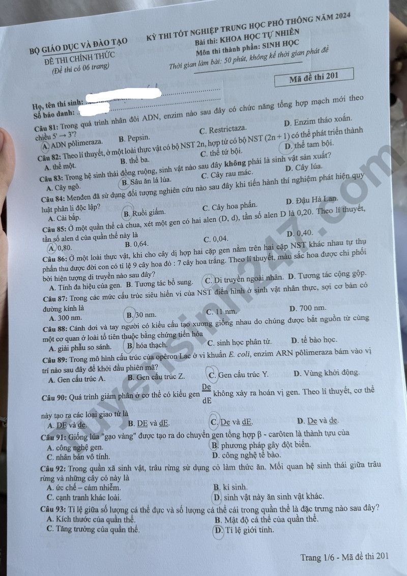 Cập nhật đề thi và đáp án môn Sinh học mã 201 kỳ thi tốt nghiệp THPT 2024
