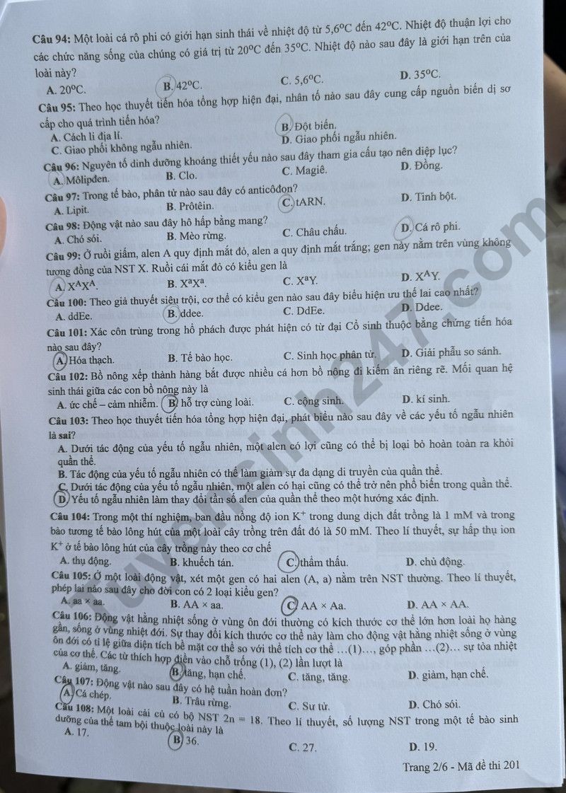 Cập nhật đề thi và đáp án môn Sinh học mã 201 kỳ thi tốt nghiệp THPT 2024