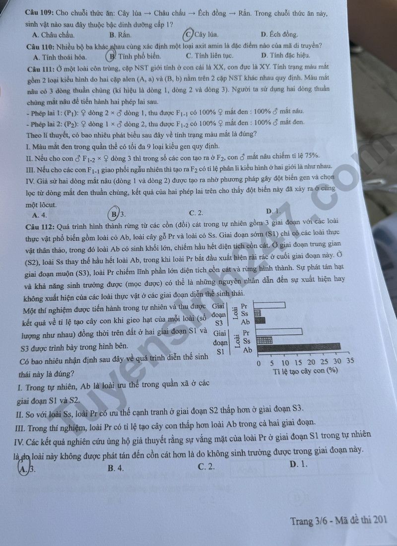 Cập nhật đề thi và đáp án môn Sinh học mã 201 kỳ thi tốt nghiệp THPT 2024