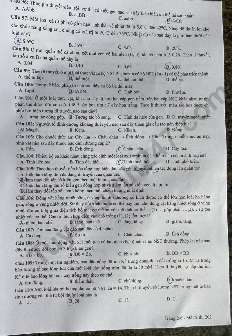 Cập nhật đề thi và đáp án môn Sinh học mã 202 kỳ thi tốt nghiệp THPT 2024