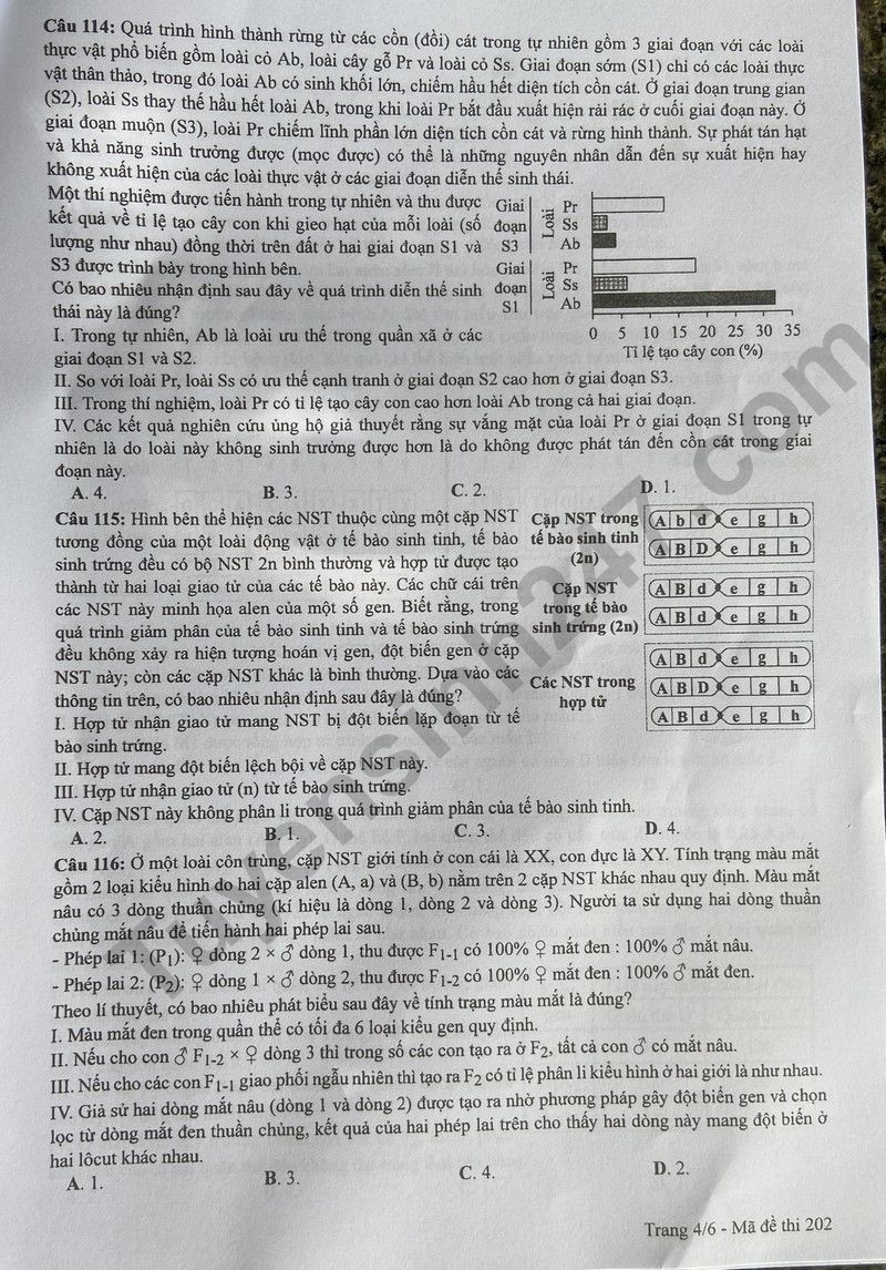 Cập nhật đề thi và đáp án môn Sinh học mã 202 kỳ thi tốt nghiệp THPT 2024