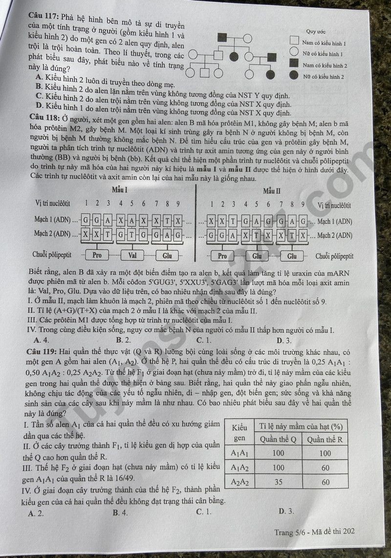 Cập nhật đề thi và đáp án môn Sinh học mã 202 kỳ thi tốt nghiệp THPT 2024