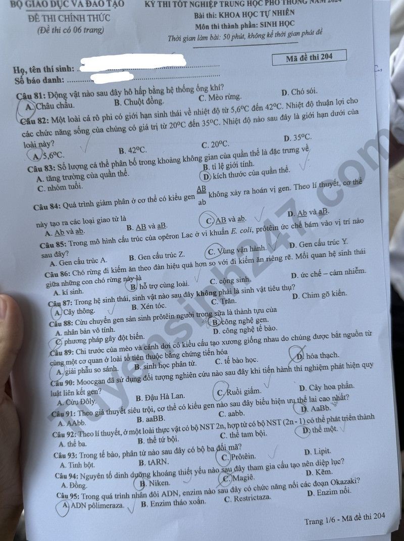 Cập nhật đề thi và đáp án môn Sinh học mã 204 kỳ thi tốt nghiệp THPT 2024