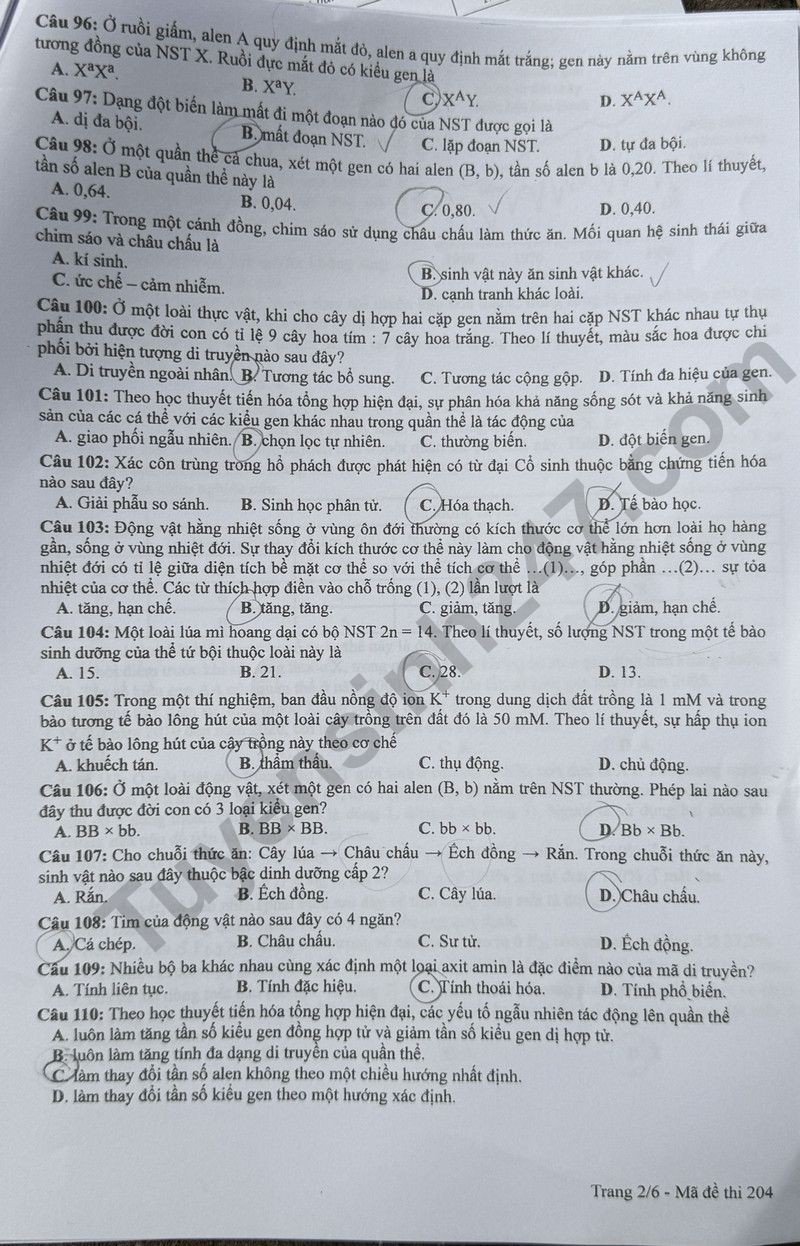 Cập nhật đề thi và đáp án môn Sinh học mã 204 kỳ thi tốt nghiệp THPT 2024