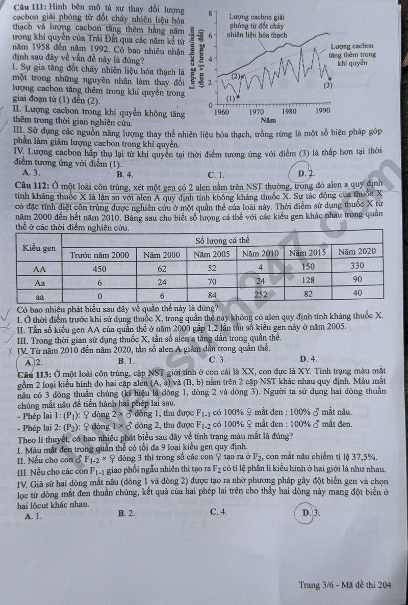 Cập nhật đề thi và đáp án môn Sinh học mã 204 kỳ thi tốt nghiệp THPT 2024