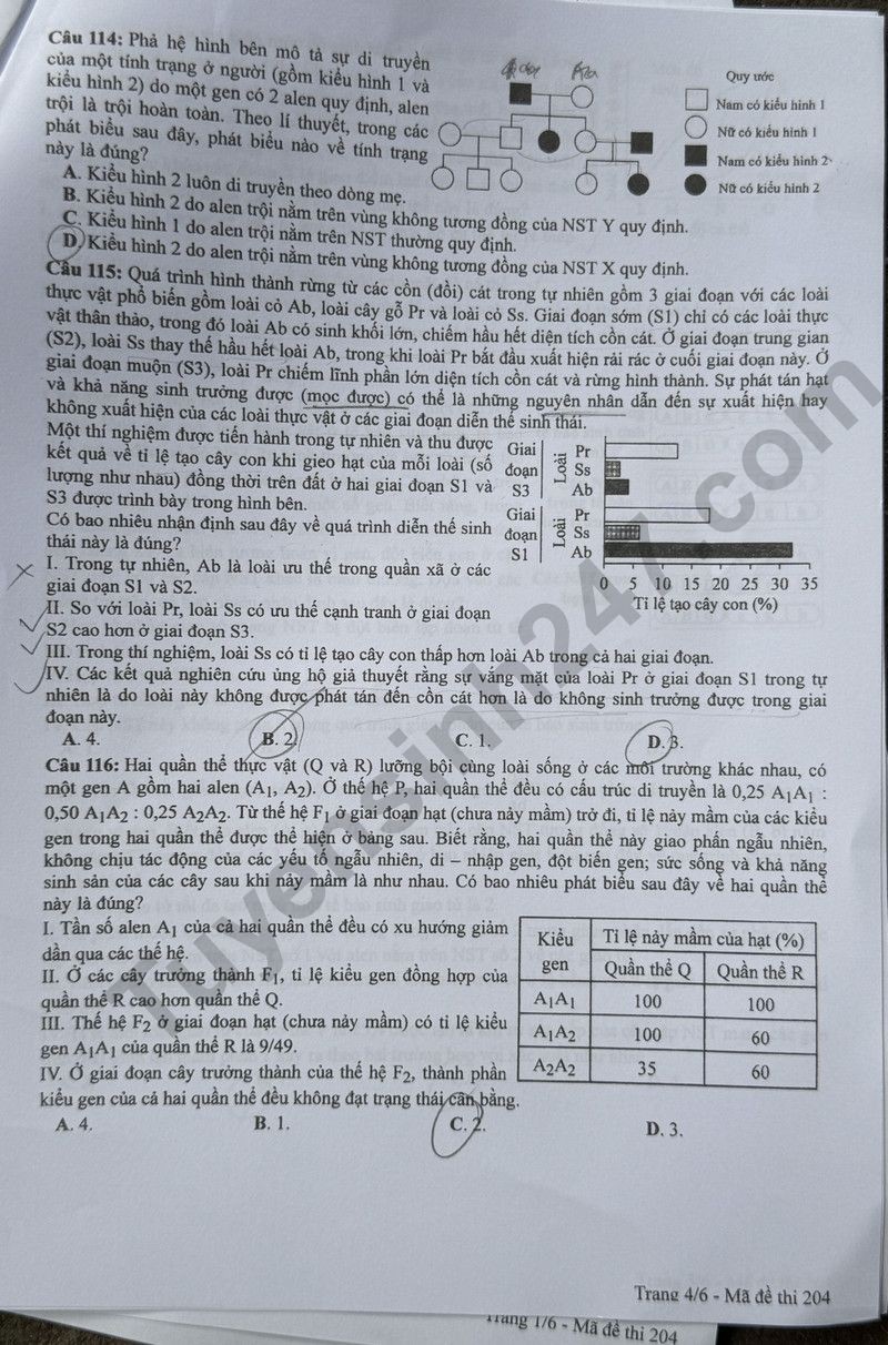 Cập nhật đề thi và đáp án môn Sinh học mã 204 kỳ thi tốt nghiệp THPT 2024