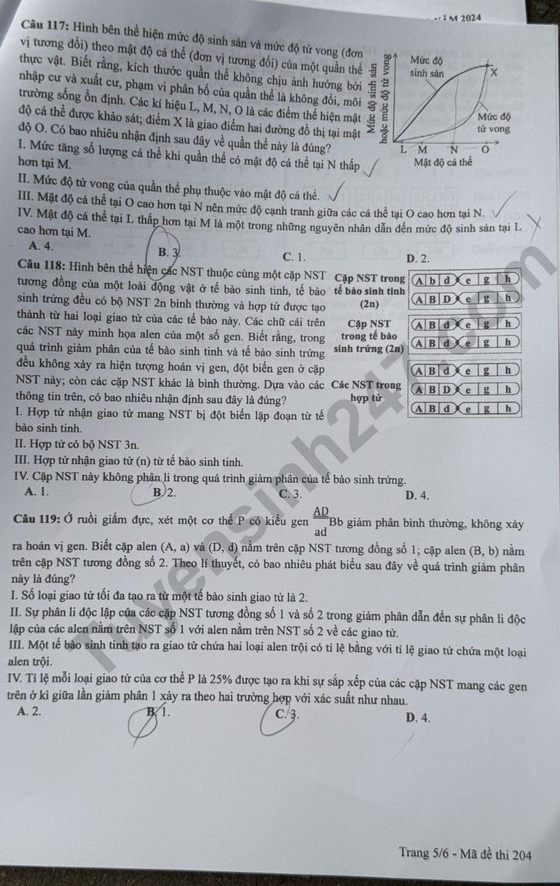 Cập nhật đề thi và đáp án môn Sinh học mã 204 kỳ thi tốt nghiệp THPT 2024