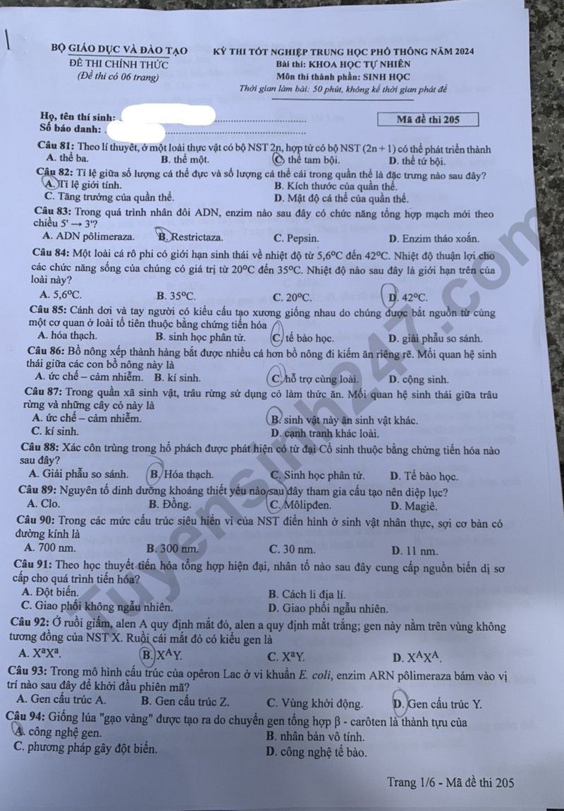 Cập nhật đề thi và đáp án môn Sinh học mã 205 kỳ thi tốt nghiệp THPT 2024
