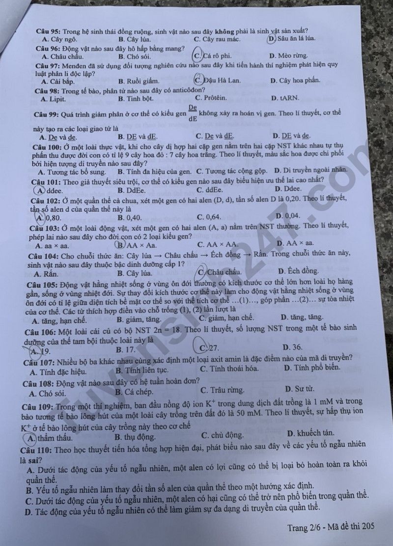 Cập nhật đề thi và đáp án môn Sinh học mã 205 kỳ thi tốt nghiệp THPT 2024