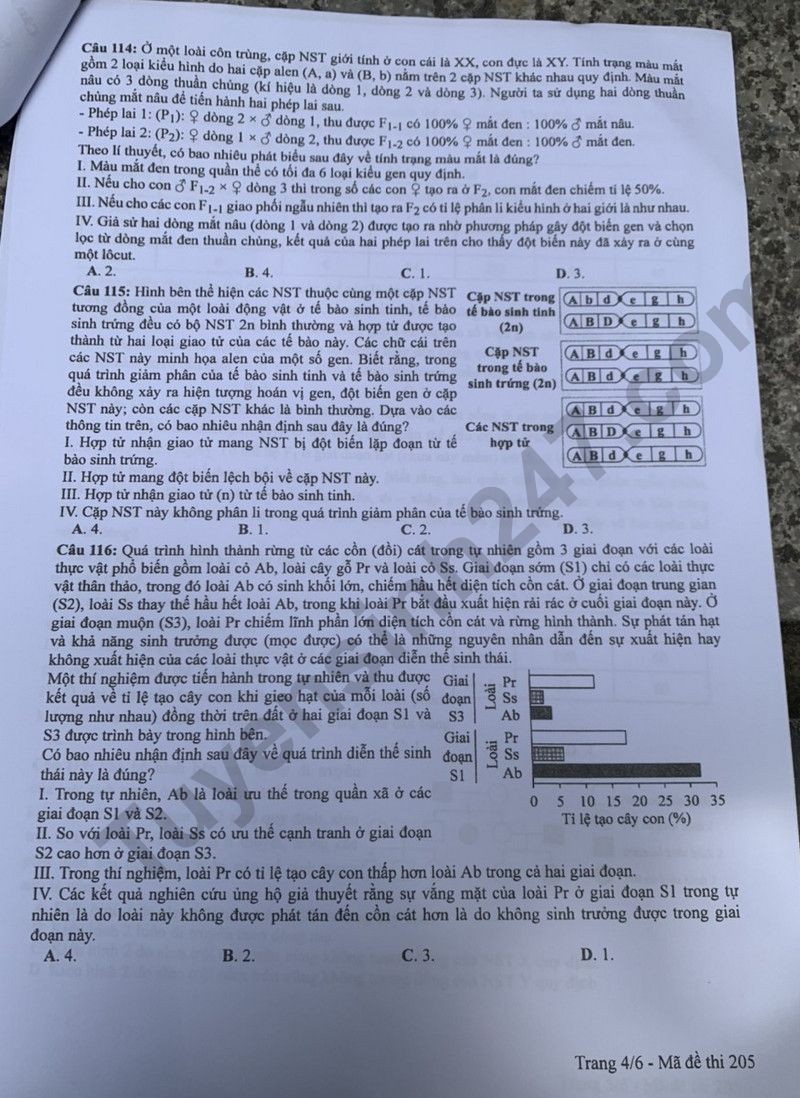 Cập nhật đề thi và đáp án môn Sinh học mã 205 kỳ thi tốt nghiệp THPT 2024