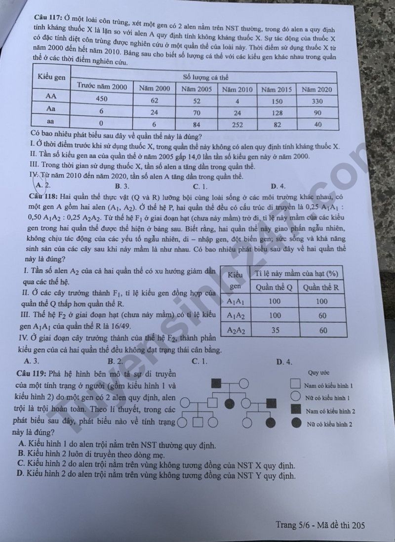 Cập nhật đề thi và đáp án môn Sinh học mã 205 kỳ thi tốt nghiệp THPT 2024