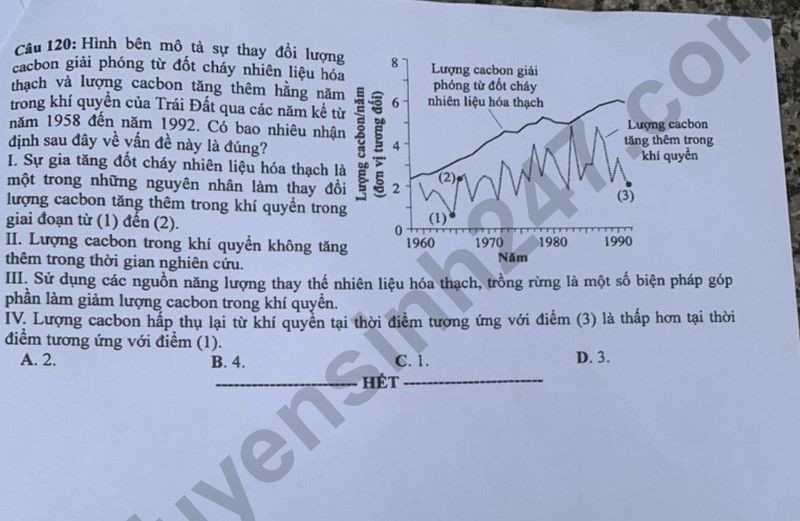 Cập nhật đề thi và đáp án môn Sinh học mã 205 kỳ thi tốt nghiệp THPT 2024