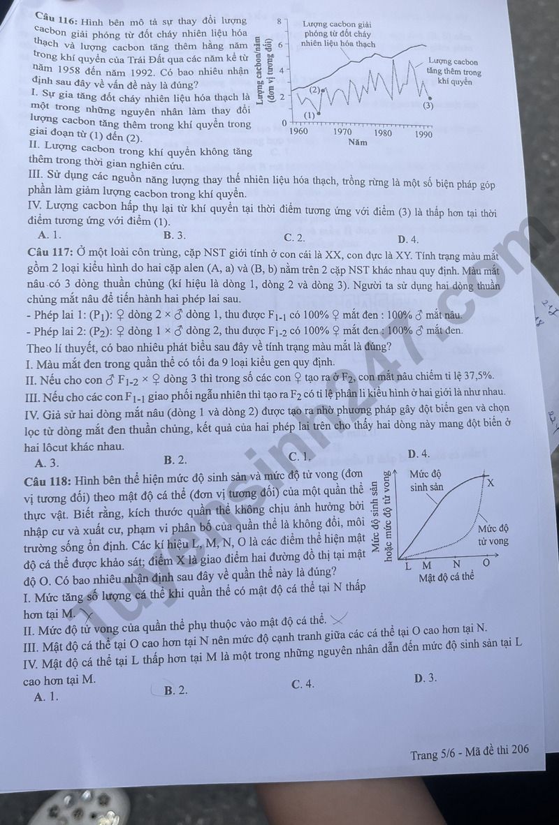 Dap an de thi tot nghiep THPT mon Sinh 2024 - Ma de 206