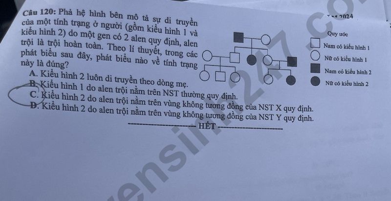 Dap an de thi mon Sinh tot nghiep THPT 2024 - Ma de 214