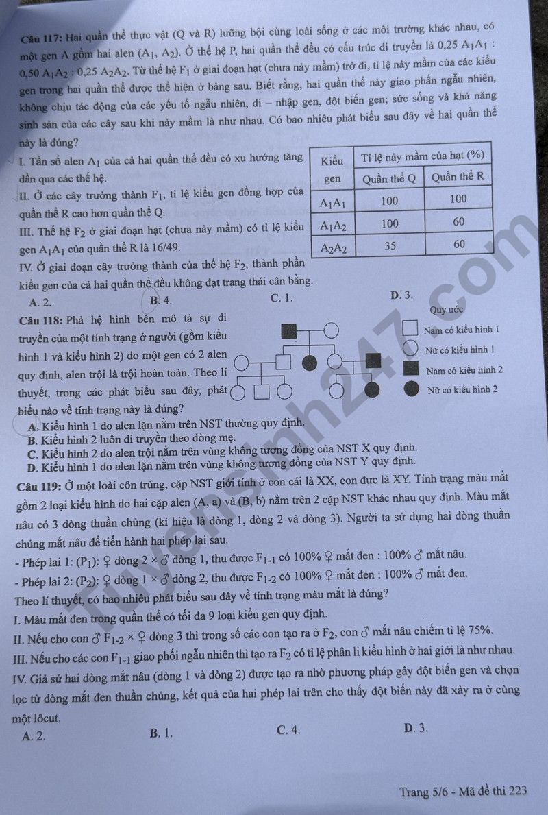 Dap an de thi mon Sinh - ma de 223 tot nghiep THPT 2024