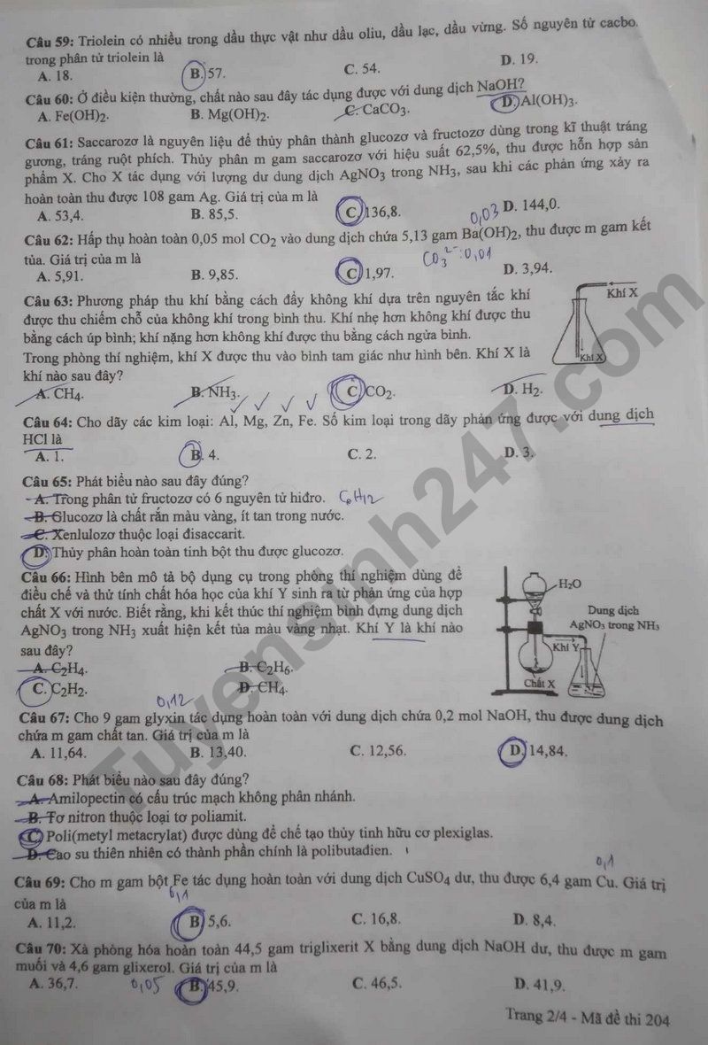 Dap an de thi mon Hoa tot nghiep THPT 2024 - Ma de 204