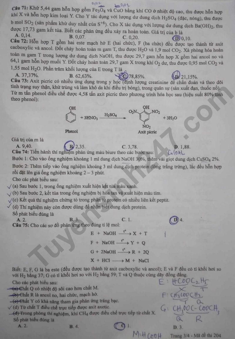 Dap an de thi mon Hoa tot nghiep THPT 2024 - Ma de 204