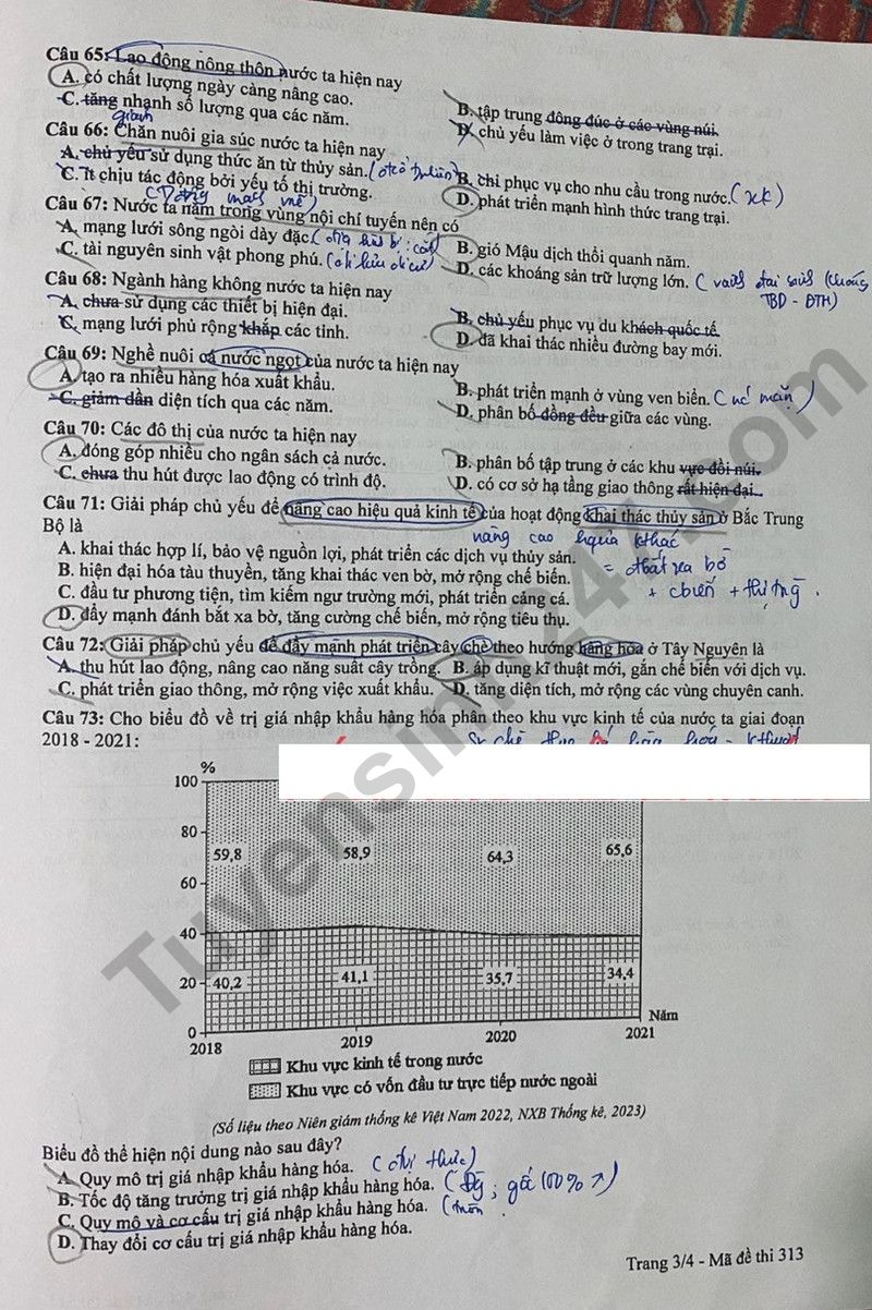 Cập nhật đề thi và đáp án môn Địa lý mã 313 kỳ thi tốt nghiệp THPT 2024