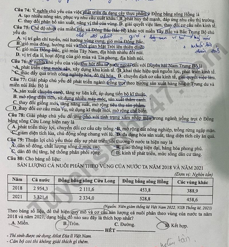 Cập nhật đề thi và đáp án môn Địa lý mã 313 kỳ thi tốt nghiệp THPT 2024