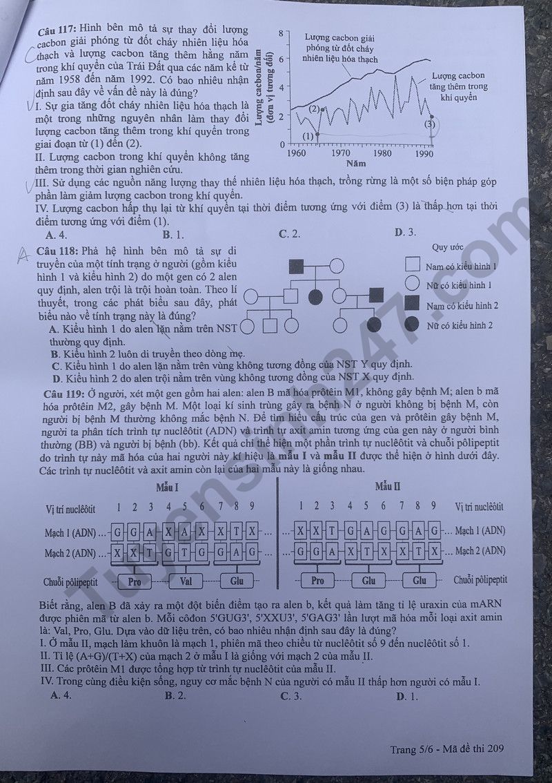Dap an de thi tot nghiep THPT mon Sinh - Ma de 209 nam 2024