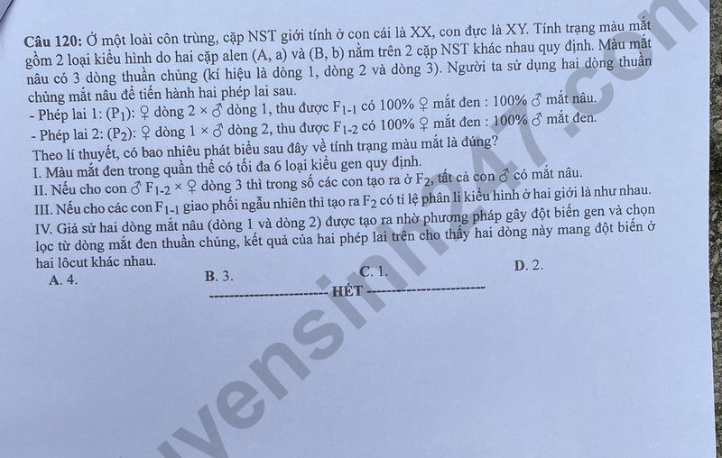 Dap an de thi tot nghiep THPT 2024 ma de 208 mon Sinh