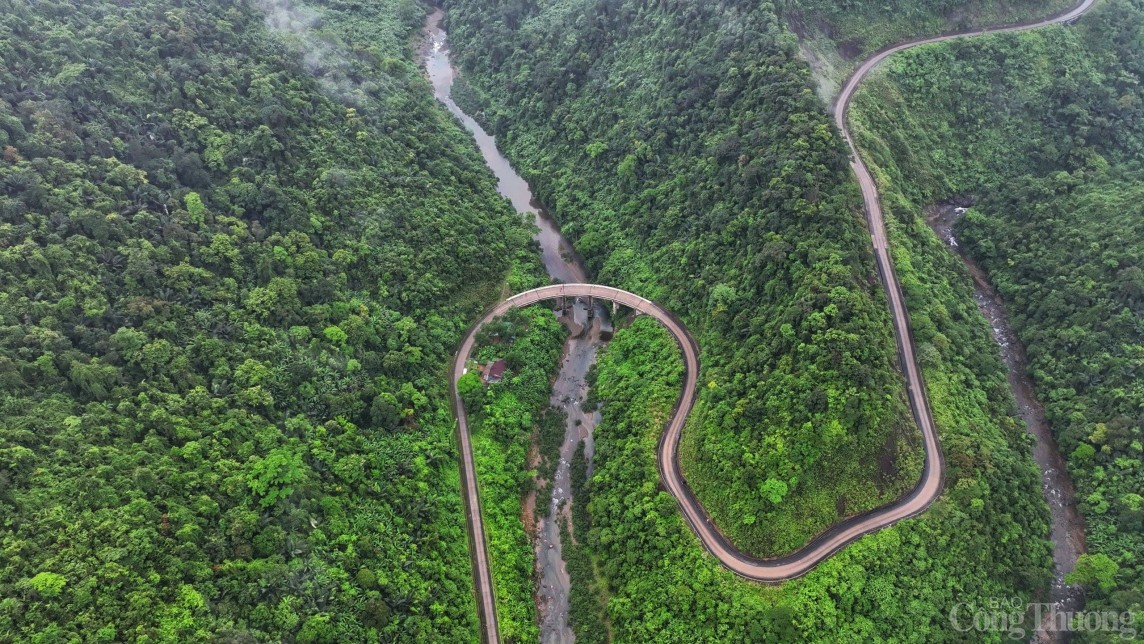 Nhiều động vật “độc và lạ” được phát hiện tại Khu dự trữ thiên nhiên Động Châu-Khe Nước Trong