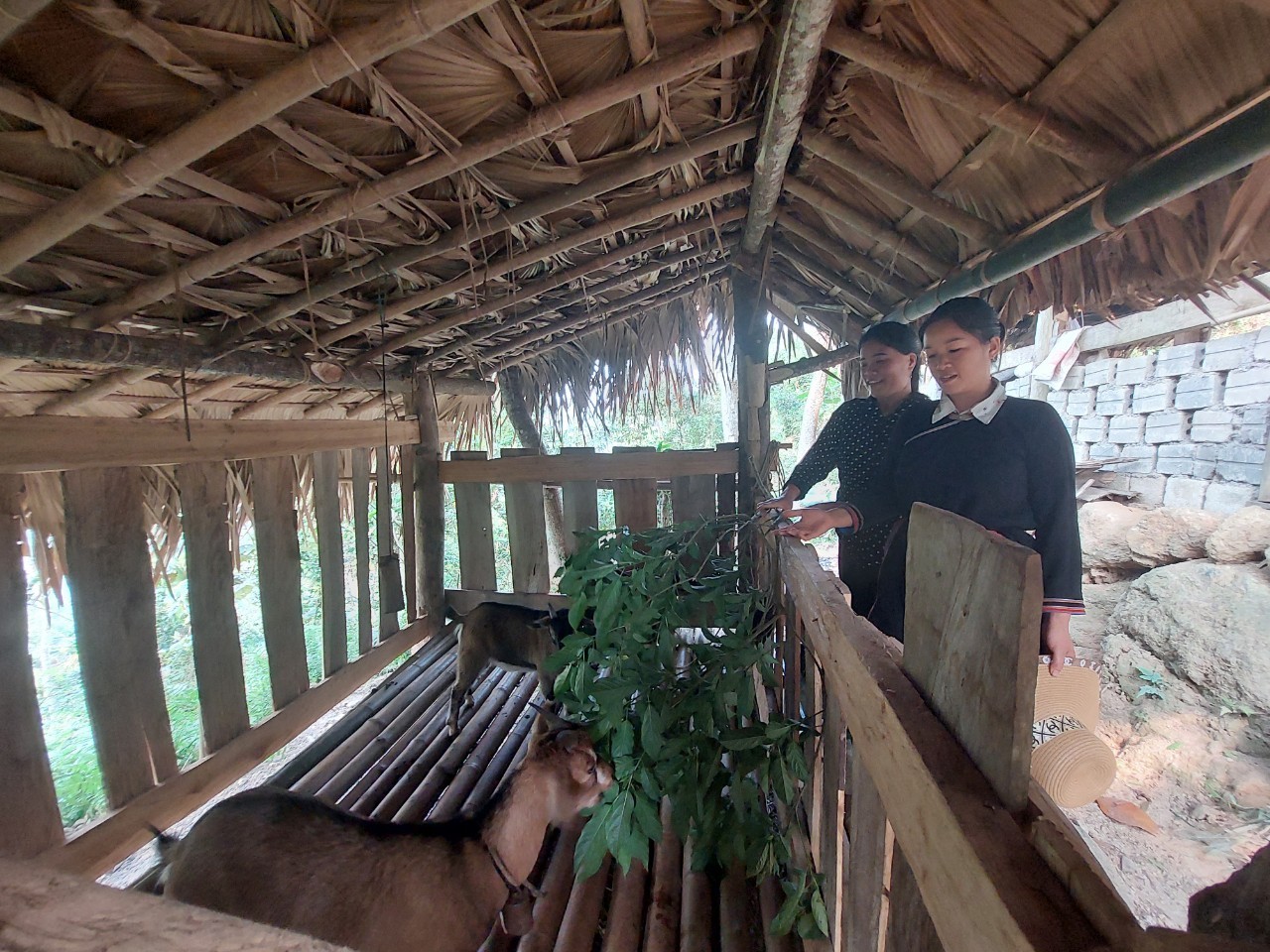 Hà Giang: Nâng cao sinh kế cho đồng bào dân tộc thiểu số