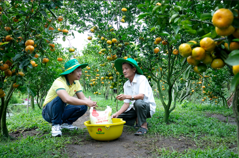 Phát thải khí nhà kính: Tầm nhìn, cơ hội và thách thức đối với PVCFC