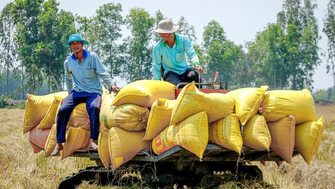 Lệnh giảm thuế nhập khẩu gạo của Philippines xuống 15% liệu có khả thi?