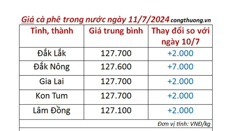 Giá cà phê hôm nay 11/7/2024: Giá cà phê tiếp tục