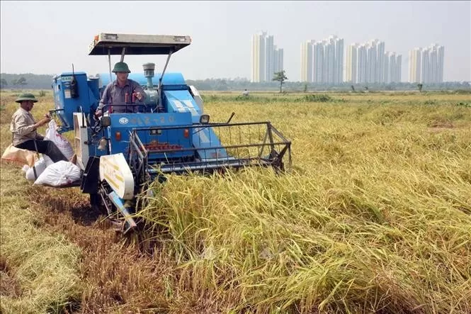 Ban Bí thư chỉ đạo về đổi mới công tác đào tạo nghề cho lao động nông thôn