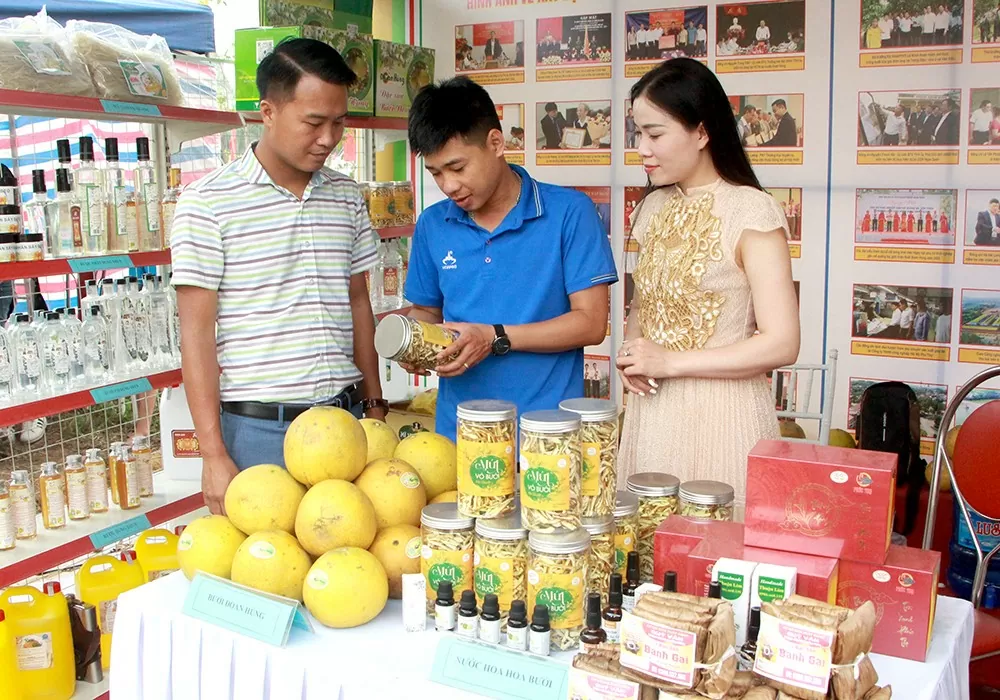 phu tho trien khai hieu qua hoat dong kich cau tieu dung hang viet
