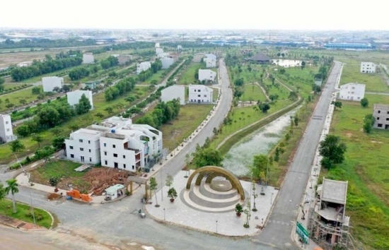 long an phuc khang sen viet la da nop du tien thue qua han