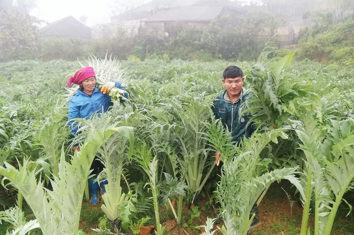 Loạt sáng kiến được công nhận ở Lào Cai: Có phải chỉ để theo phong trào?