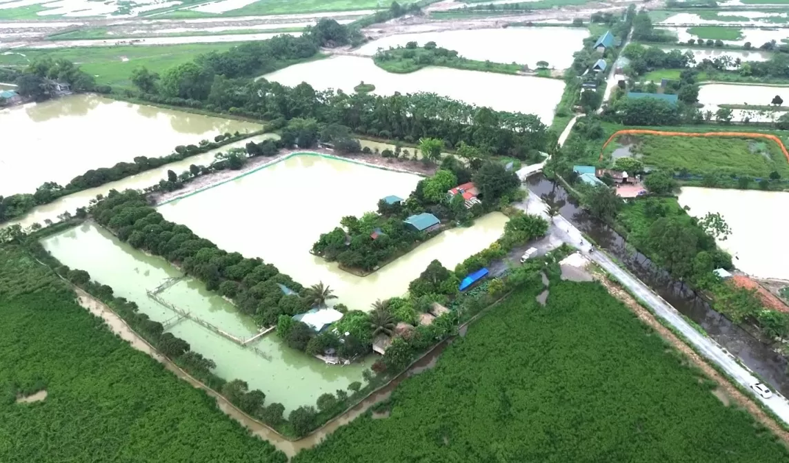 Vụ sử dụng trái phép 3,8 ha đất công ở Thanh Oai: Xử lý kỷ luật Chủ tịch, Phó Chủ tịch xã