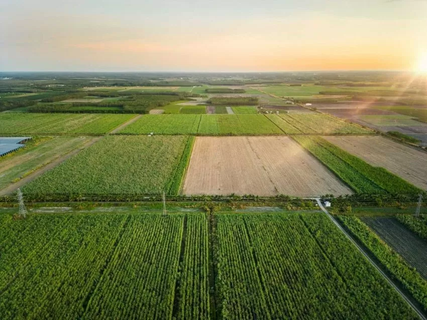 TTC AgriS hiện đang đứng đầu cả nước về quy mô vùng nguyên liệu xuyên biên giới, với tổng diện tích đạt hơn 71.000 ha ở 4 nước Việt Nam, Lào, Campuchia và Úc, tự chủ về năng lực sản xuất sản phẩm hữu cơ