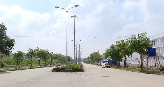 vi sao tinh thanh hoa thu hoi hon 8000m2 dat cua cong ty quyet cuong