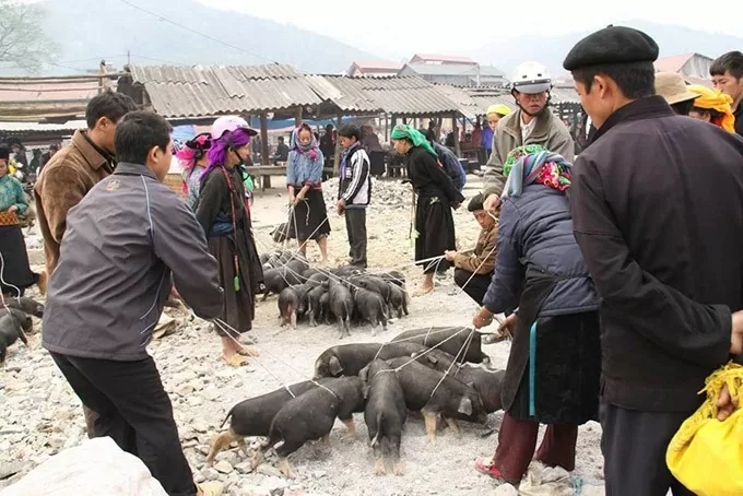 Thịt lợn cắp nách - đặc sản khó quên của Lào Cai