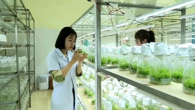 Phát triển khoa học và công nghệ phục vụ sự nghiệp công nghiệp hóa, hiện đại hóa