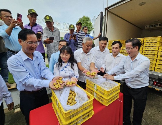 can tho nong dan trung dam nho gia xuat khau trai thanh nhan tang cao