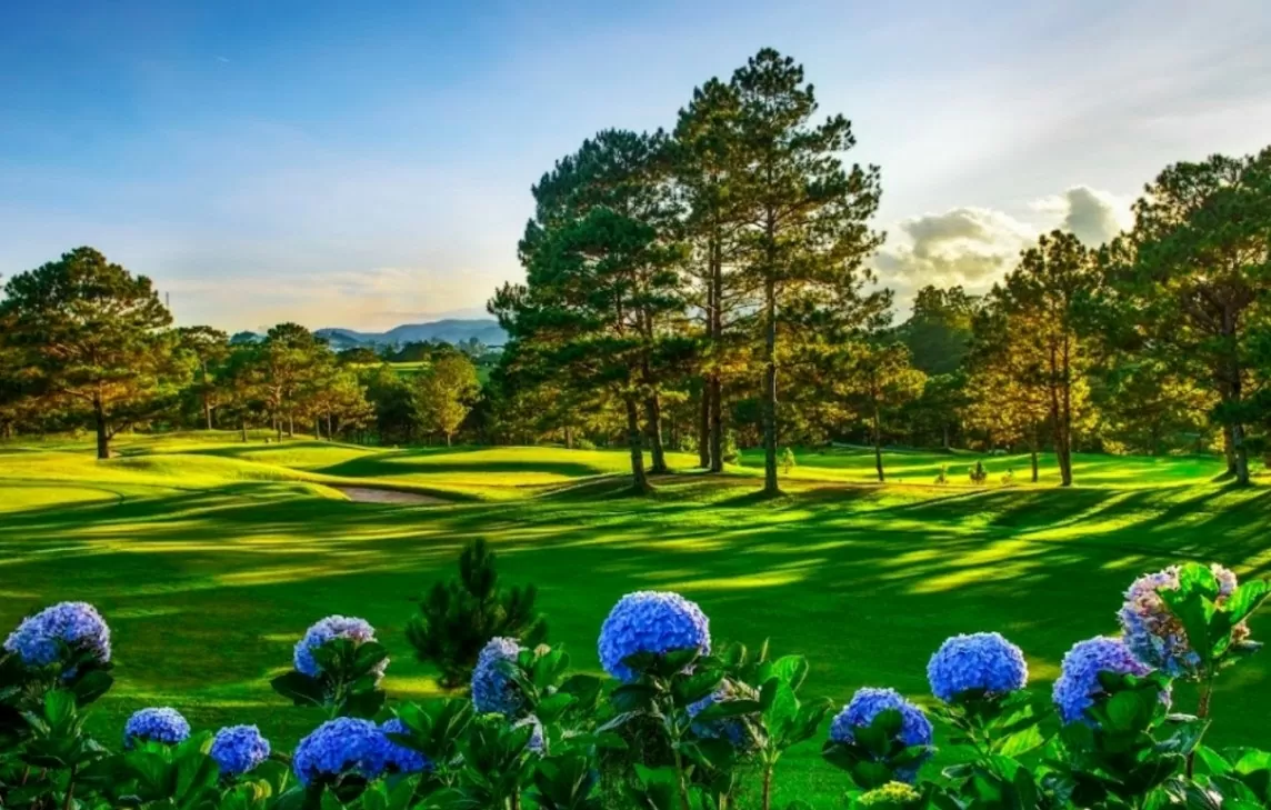 Lâm Đồng: Xử lý số tiền phạt về đất đai đối với chủ đầu tư sân Golf Đà Lạt ra sao?