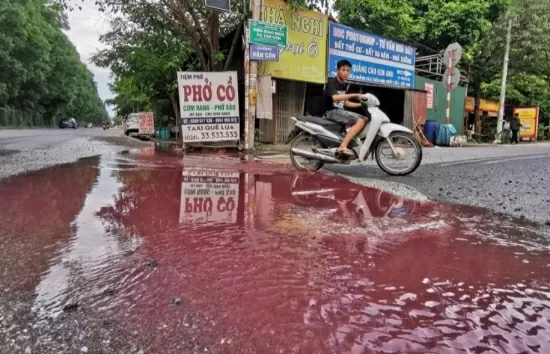 Hà Nội: Nguồn thải bí ẩn 