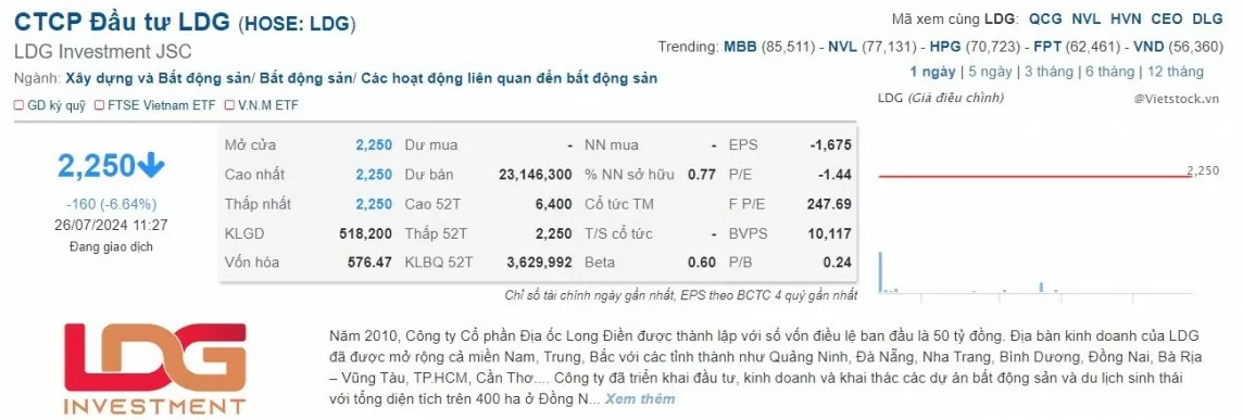 Công ty LDG nói gì sau thông tin bị mở thủ tục phá sản?