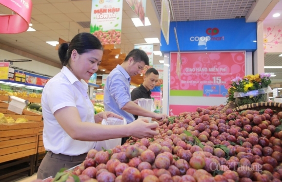 son la da dang giai phap tieu thu trai cay