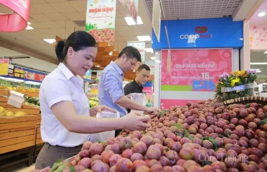 Sơn La: Đa dạng giải pháp tiêu thụ trái cây