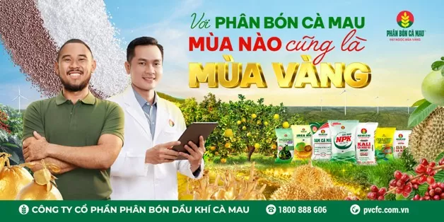 Với Phân Bón Cà Mau: Mùa nào cũng là mùa vàng