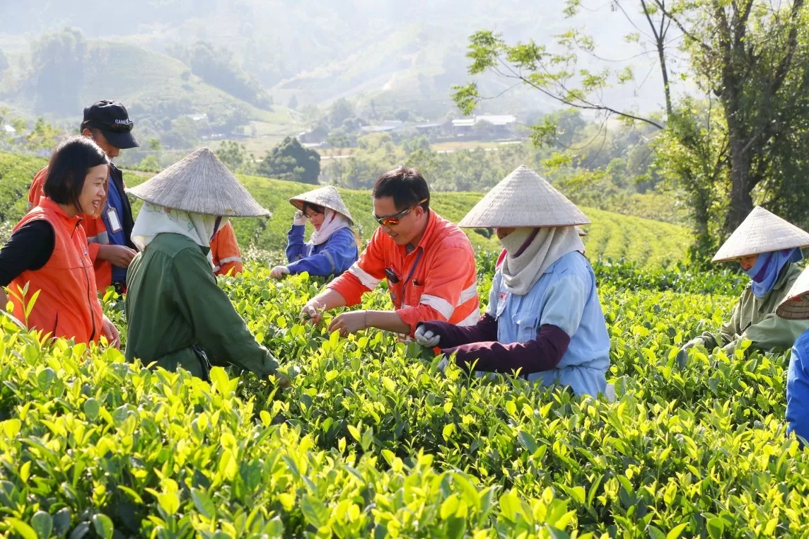 Thái Nguyên: Hơn 94.000 hộ nông dân đăng ký đạt danh hiệu sản xuất, kinh doanh giỏi