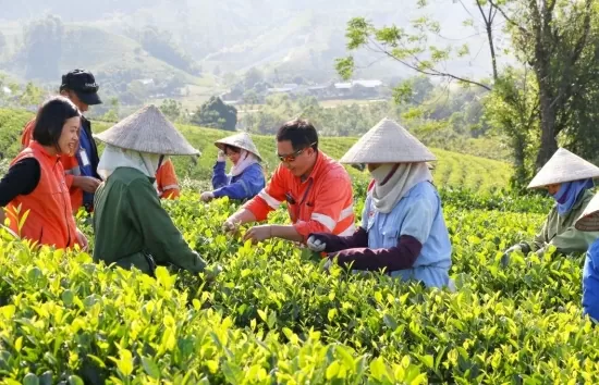 Thái Nguyên: Hơn 94.000 hộ nông dân đăng ký đạt danh hiệu sản xuất, kinh doanh giỏi